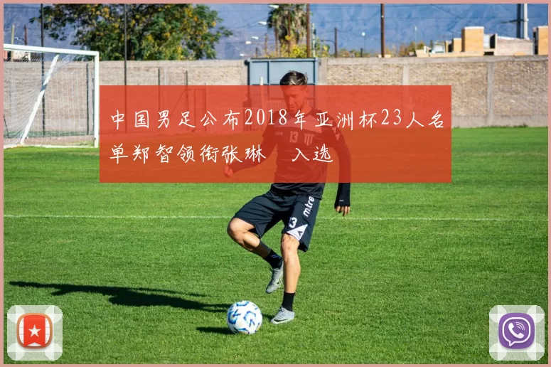中国男足公布2018年亚洲杯23人名单郑智领衔张琳芃入选