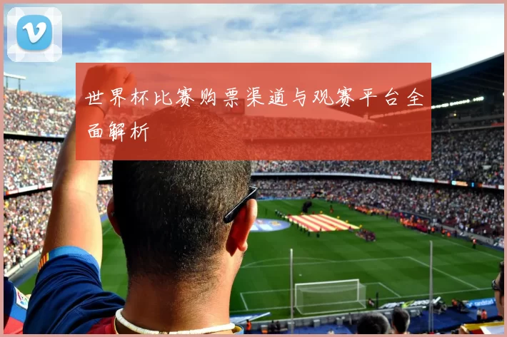 世界杯比赛购票渠道与观赛平台全面解析