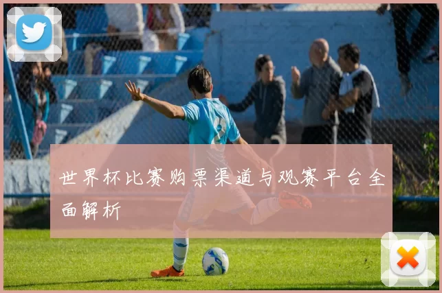 世界杯比赛购票渠道与观赛平台全面解析