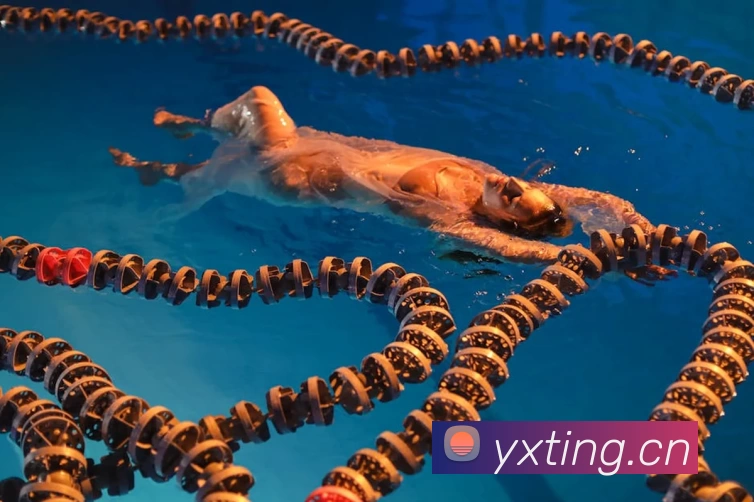 九游·官方J9站网站入口 - 九游(中国)APP 体育赛事宣传图